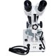 Бінокулярний мікроскоп  XTX-6C-W (10x; 2x/4x) Прев'ю 3